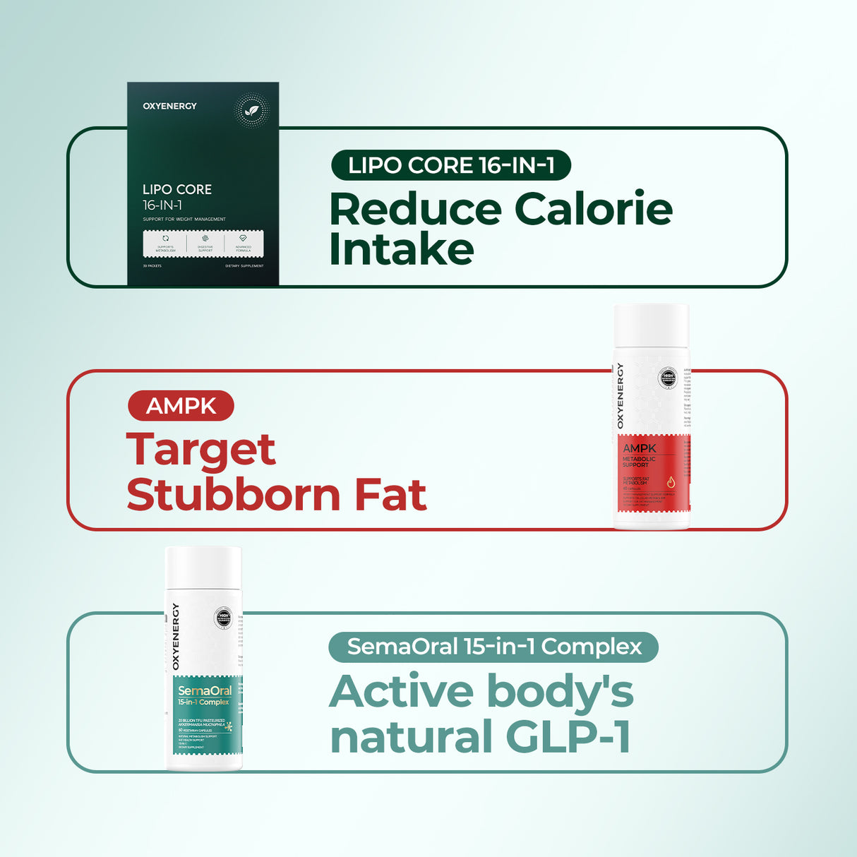 All-in-One Weight Management Bundle