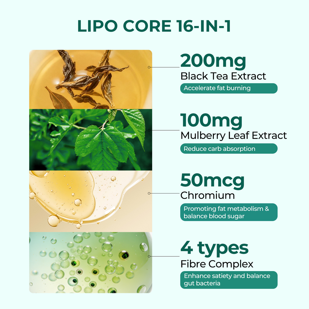 Fullness & Balance Bundle