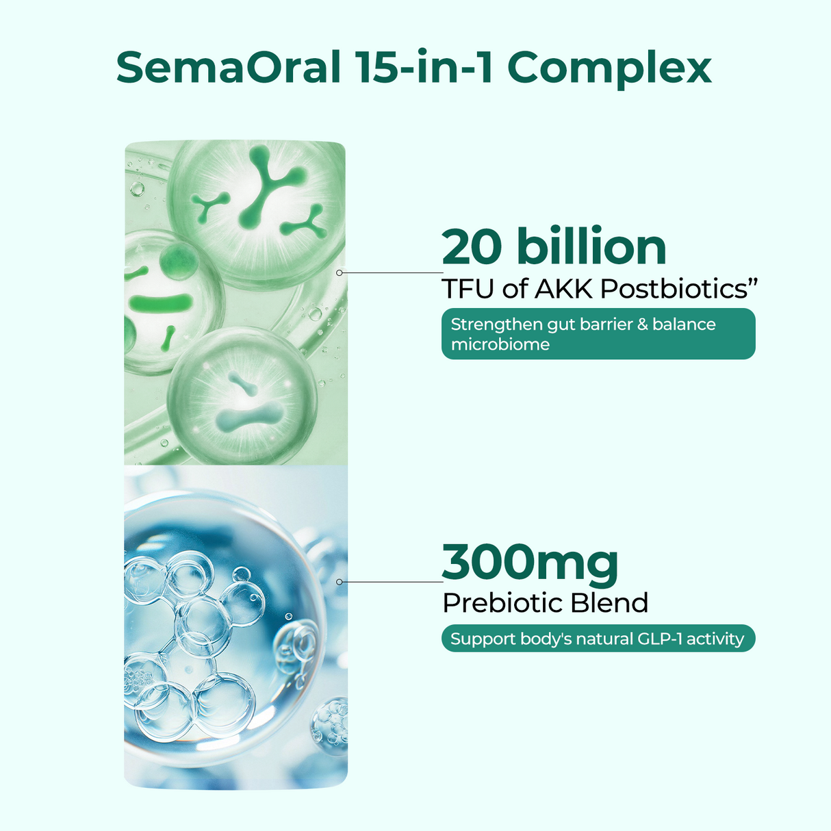 Fullness & Balance Bundle