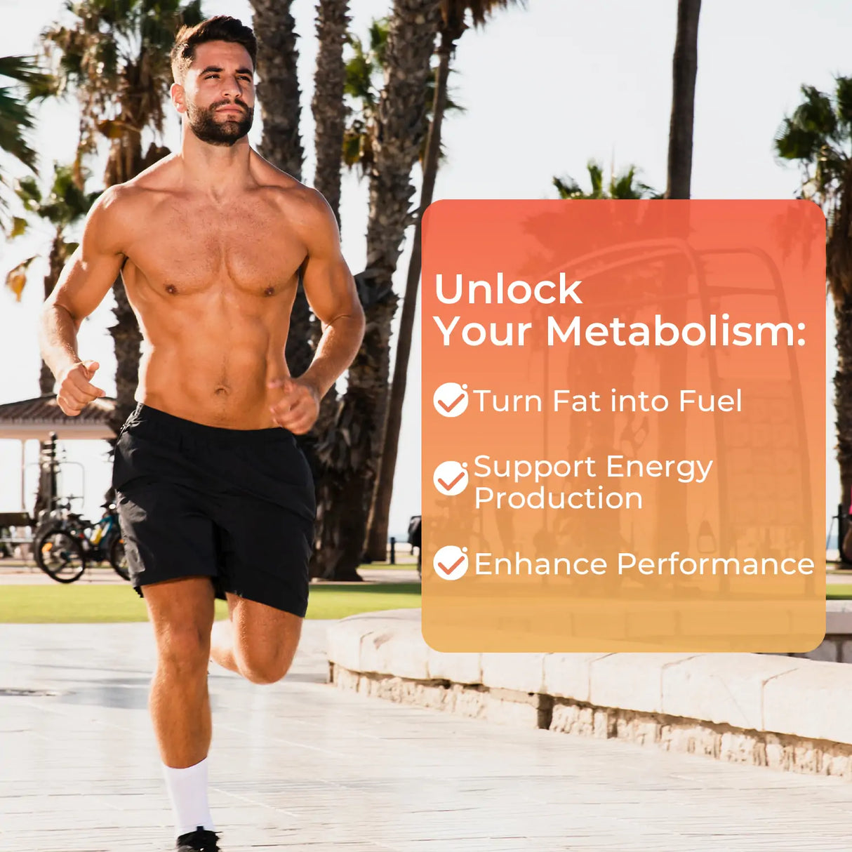 <tc>左旋肉碱1000mg</tc>