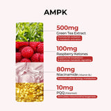 All-in-One Weight Management Bundle