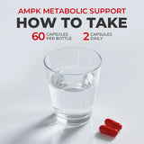 AMPK - Metabolic Balance & Body Support